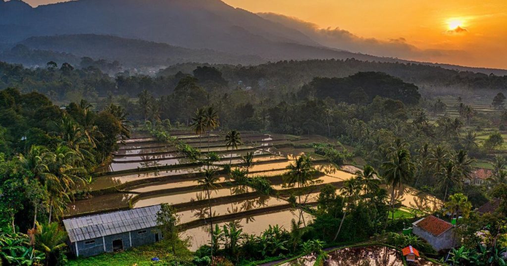日出下的梯田與山林景致
