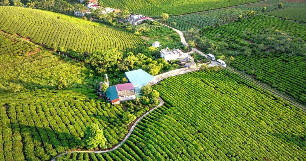 不規則土地利用與農村景觀空拍圖